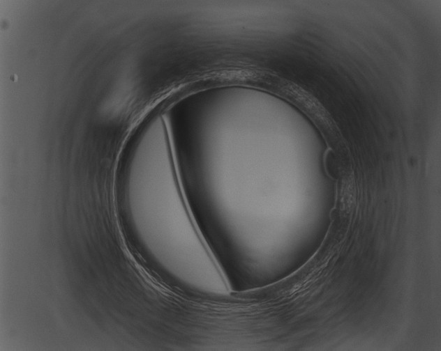 X0000087530722200704270856