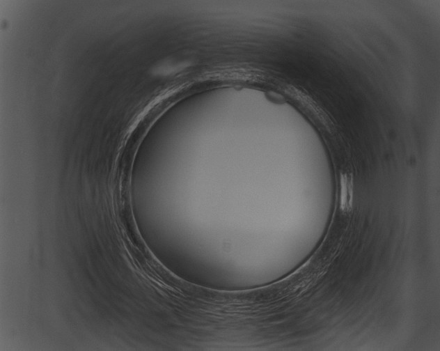 X0000087530723200704270856