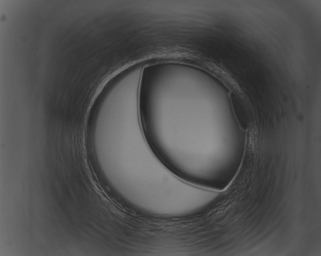 X0000087530724200704270856