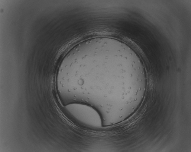 X0000087530725200704270856