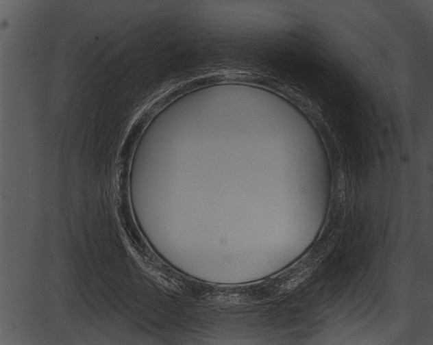 X0000087530730200704270856