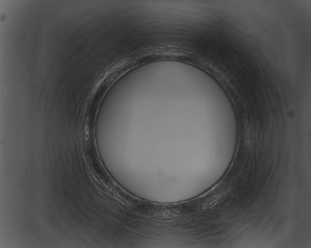 X0000087530731200704270856