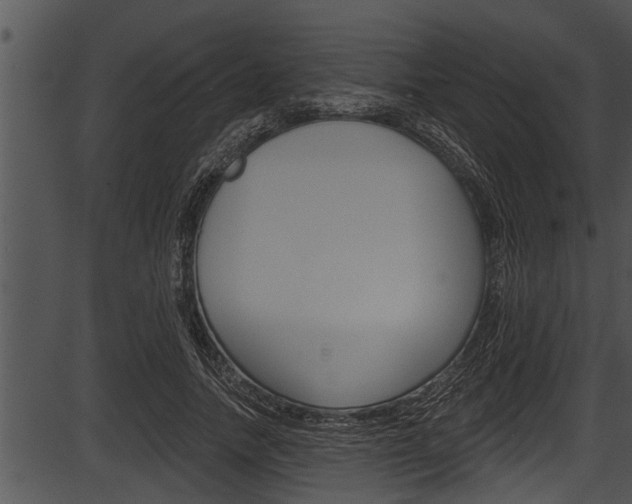 X0000087530738200704270856