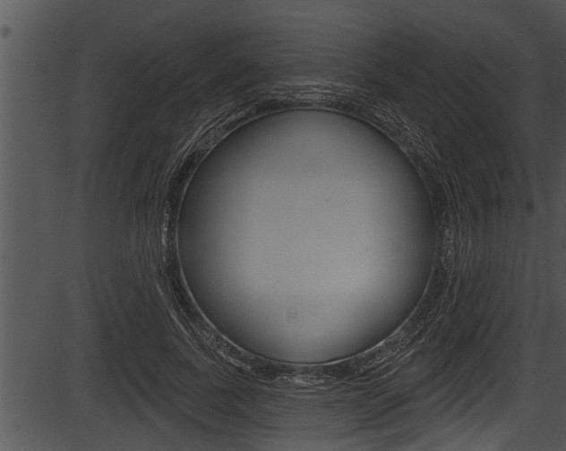 X0000087530739200704270856