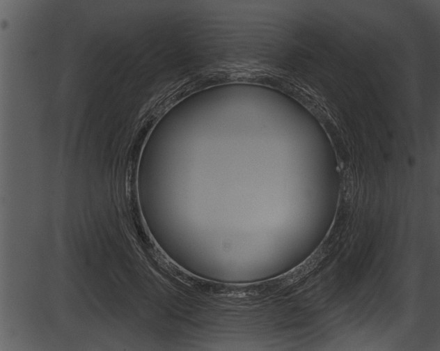 X0000087530740200704270856