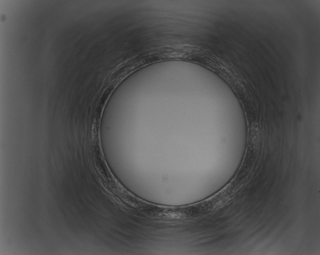 X0000087530741200704270856