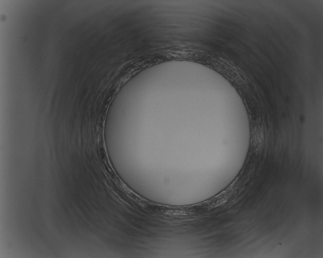 X0000087530749200704270857