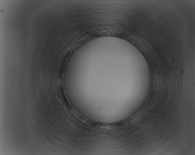 X0000087530751200704270857
