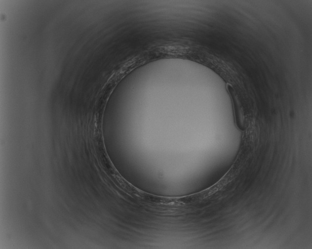 X0000087530752200704270857