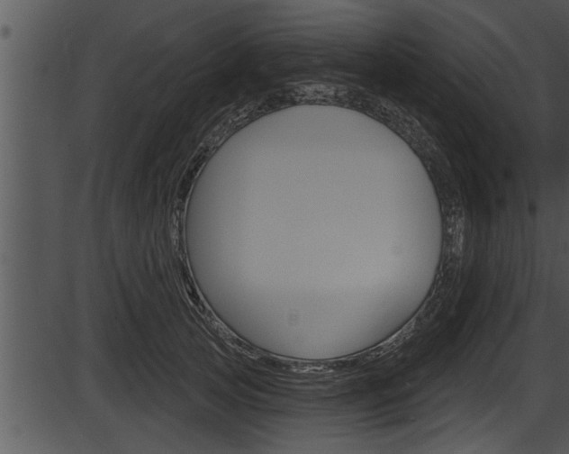 X0000087530753200704270857