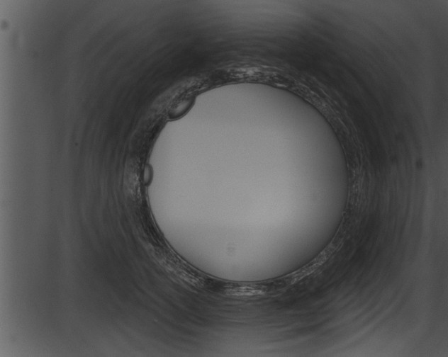 X0000087530754200704270857