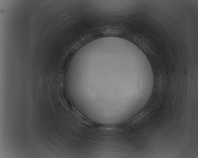 X0000087530755200704270857
