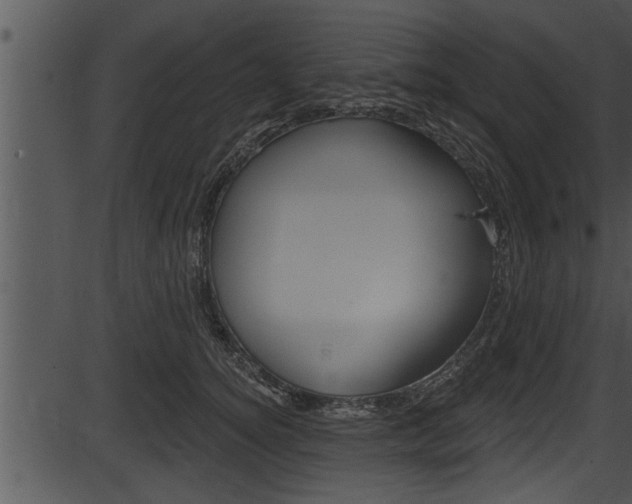 X0000087530756200704270857