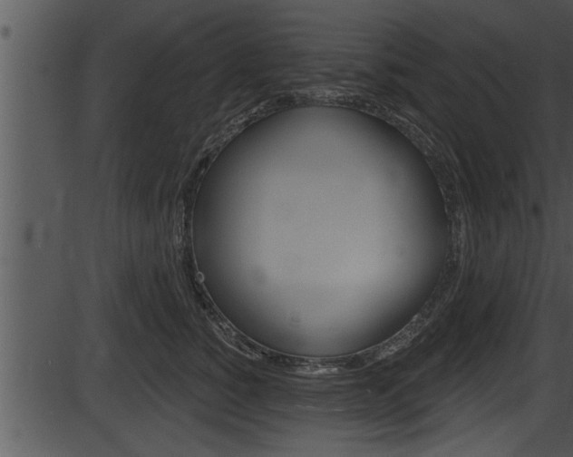 X0000087530760200704270857