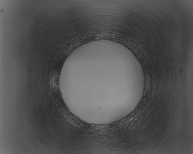 X0000087530770200704270856