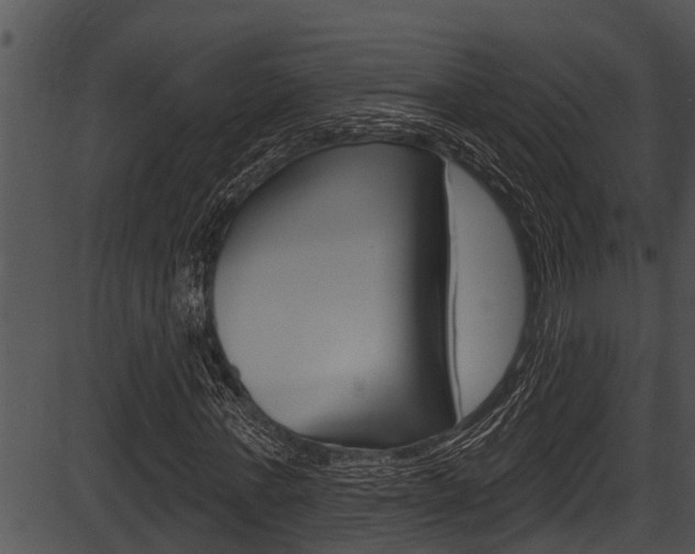 X0000087530771200704270856