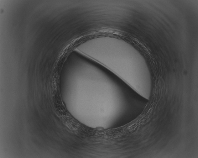 X0000087530776200704270856