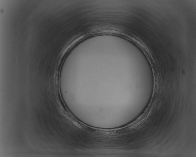 X0000087530790200704270856