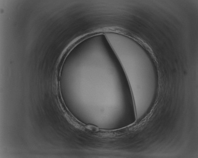 X0000087530792200704270856
