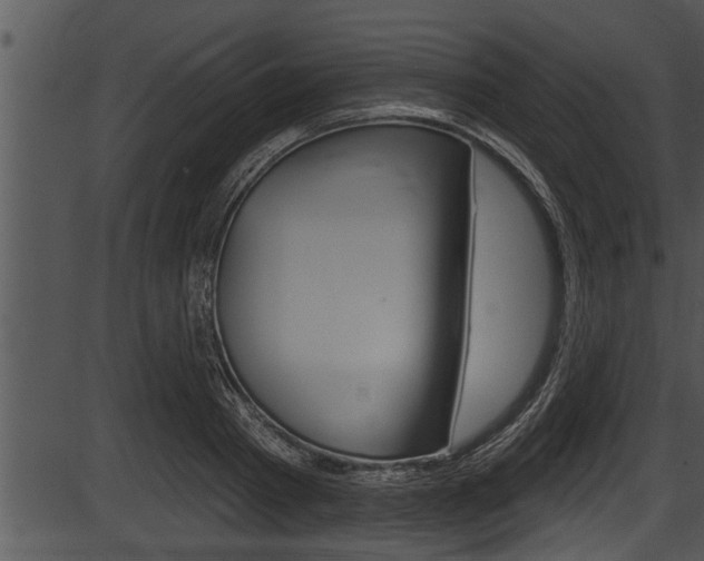 X0000087530793200704270856