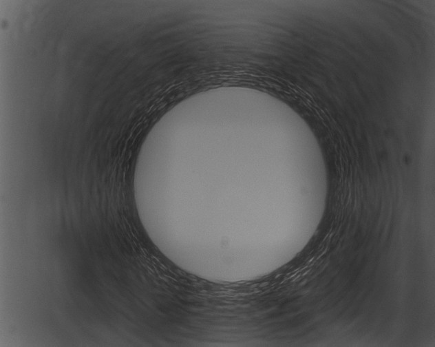 X0000087530818200704270855