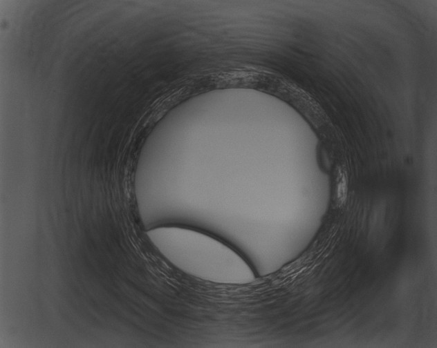 X0000087530819200704270855