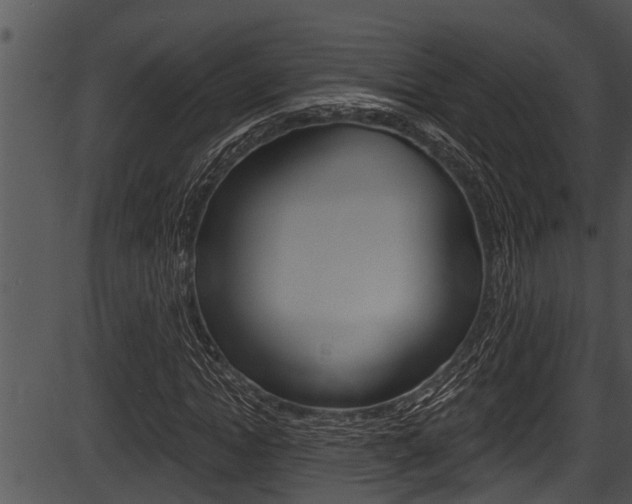 X0000087530822200704270855