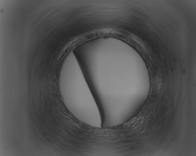 X0000087530823200704270855
