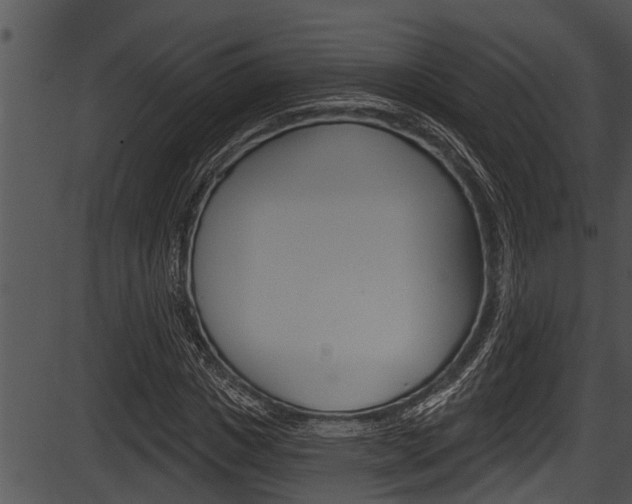 X0000087530825200704270855