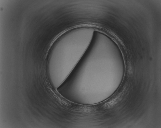 X0000087530829200704270855