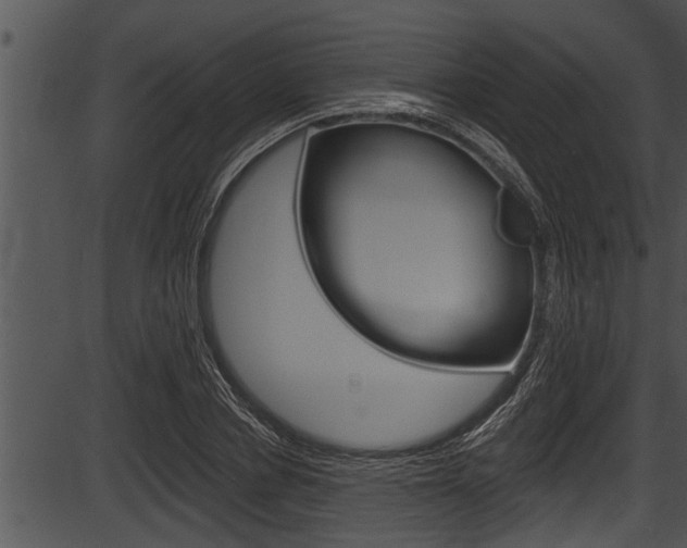 X0000087530834200704270855
