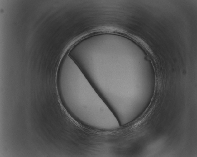 X0000087530839200704270855