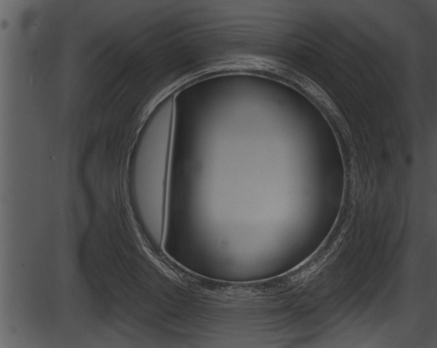 X0000087530842200704270855