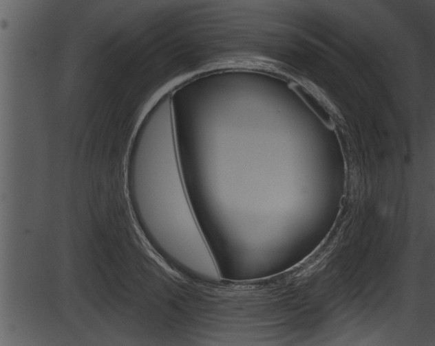 X0000087530846200704270855