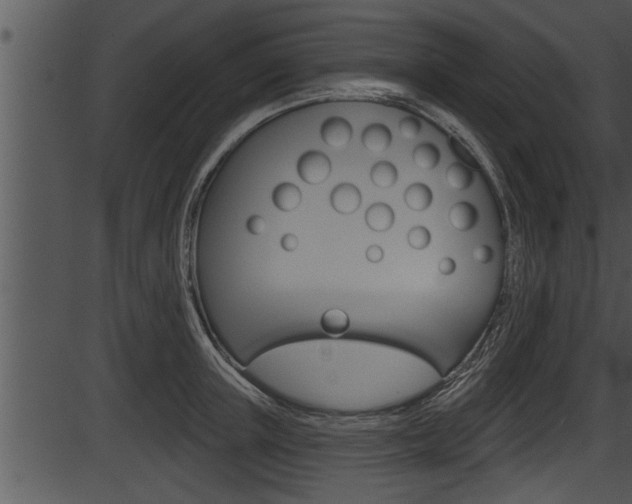 X0000087530851200704270855