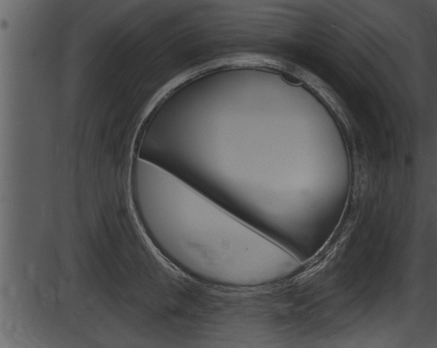 X0000087530853200704270855