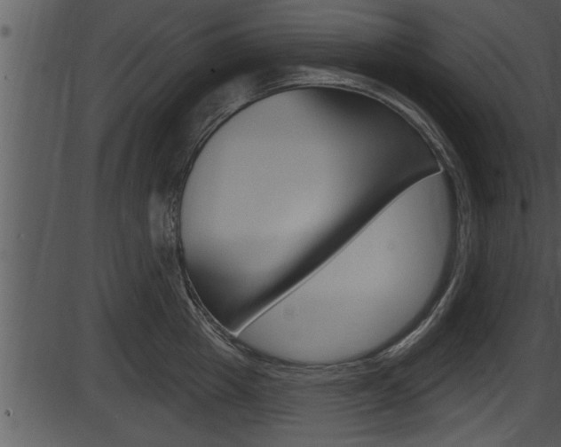 X0000087530857200704270855