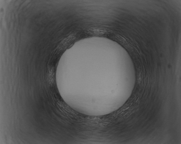 X0000087530866200704270854