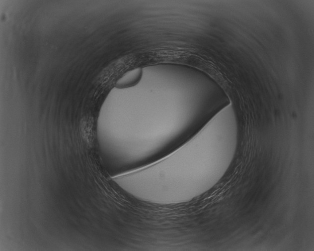 X0000087530867200704270854