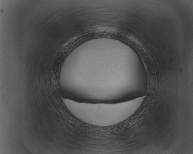 X0000087530869200704270854