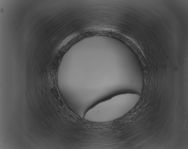 X0000087530871200704270854