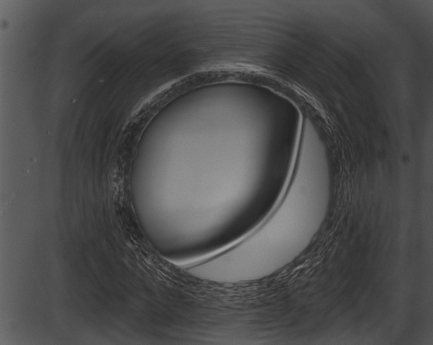 X0000087530872200704270854