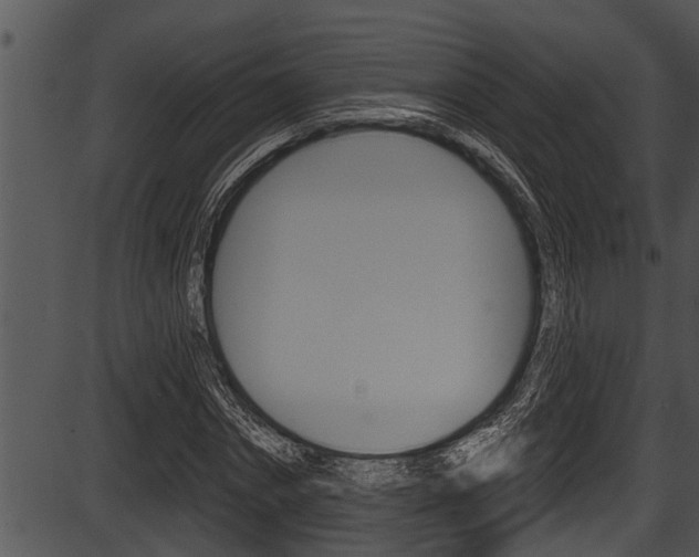 X0000087530874200704270854