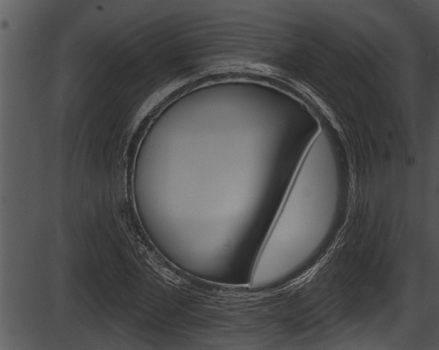 X0000087530877200704270854