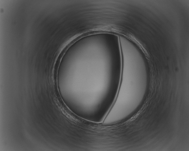 X0000087530884200704270854