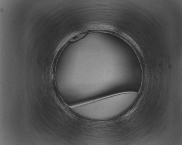 X0000087530885200704270854