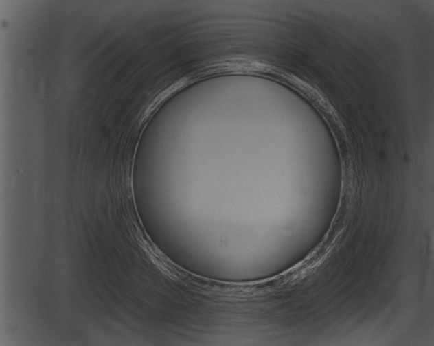 X0000087530889200704270854