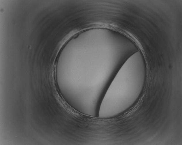 X0000087530899200704270854