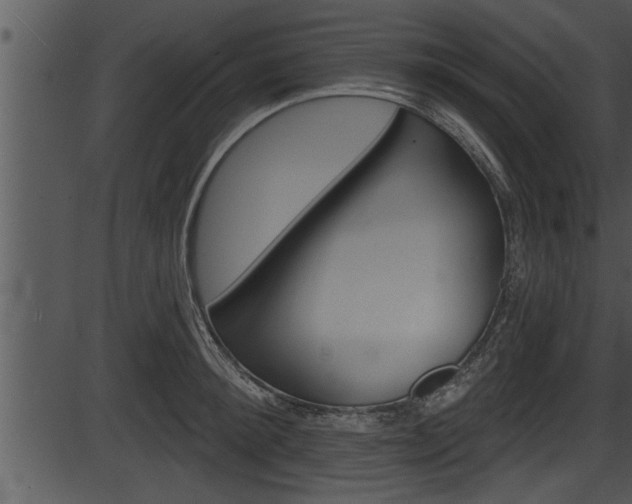 X0000087530900200704270854