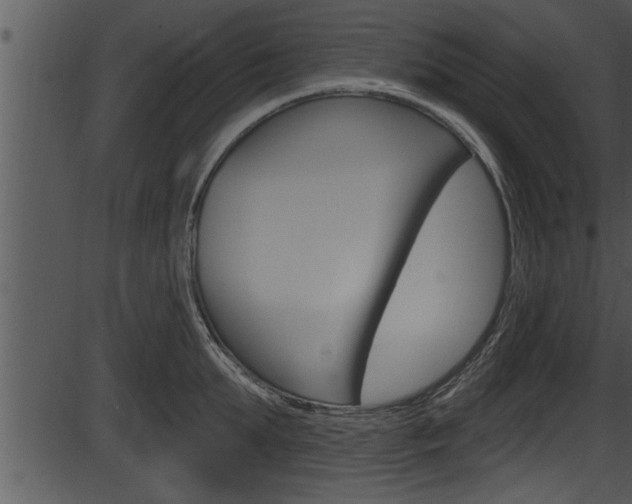 X0000087530903200704270854